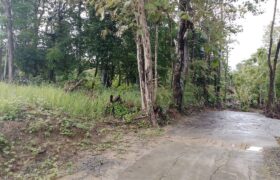 Tanah Dijual Jogja Dekat LaLisa European Park di Jalan Wates Km 14 Sedayu Bantul, Yogyakarta