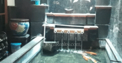 Rumah Dijual Jogja : Hunian Etnik Jawa yang Nyaman di Jantung Kota, Panembahan Yogyakarta