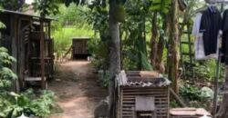 Rumah Dijual di Jogja Luas Murah Cocok Sebagai Kost, Usaha, Tempat Tinggal atau Pabrik di Piyungan Bantul Yogyakarta
