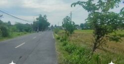 Tanah Dijual Jogja: Lahan Strategis Selatan Rumah Dinas Bupati di Trirenggo Bantul Yogyakarta