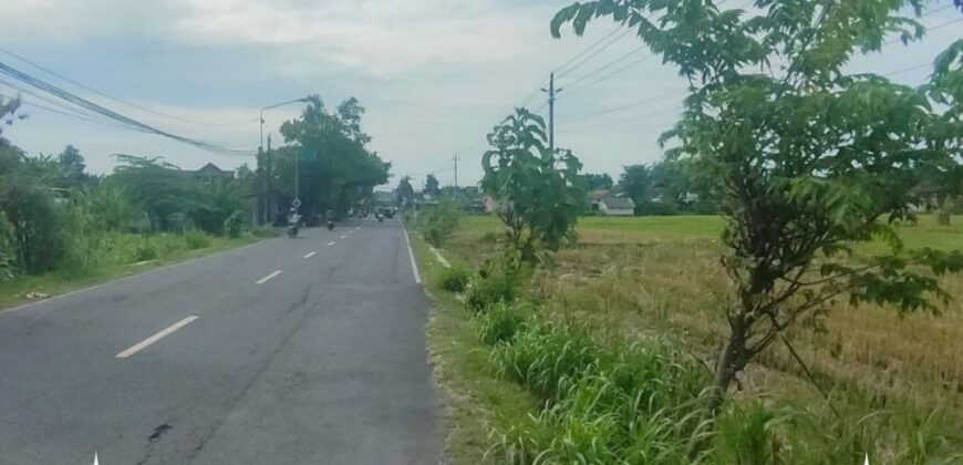 Tanah Dijual Jogja: Lahan Strategis Selatan Rumah Dinas Bupati di Trirenggo Bantul Yogyakarta