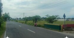 Tanah Dijual Jogja: Lahan Strategis Selatan Rumah Dinas Bupati di Trirenggo Bantul Yogyakarta