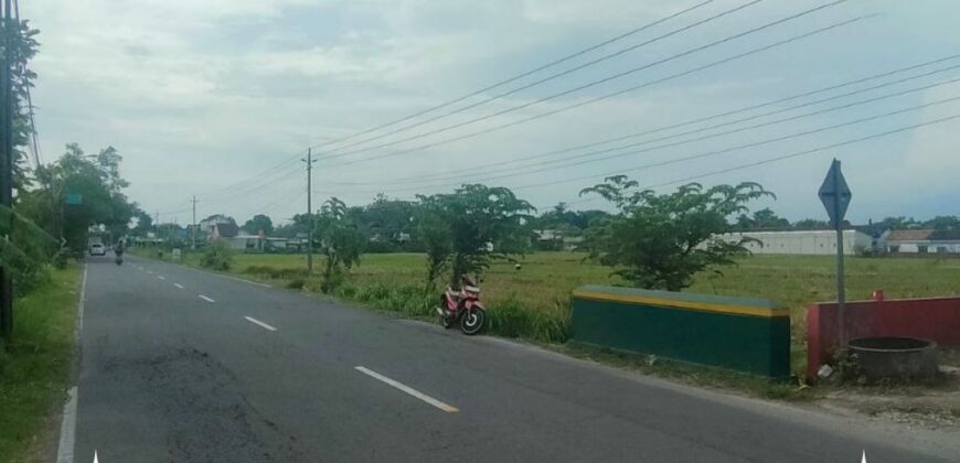 Tanah Dijual Jogja: Lahan Strategis Selatan Rumah Dinas Bupati di Trirenggo Bantul Yogyakarta