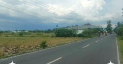 Tanah Dijual Jogja: Lahan Strategis Selatan Rumah Dinas Bupati di Trirenggo Bantul Yogyakarta