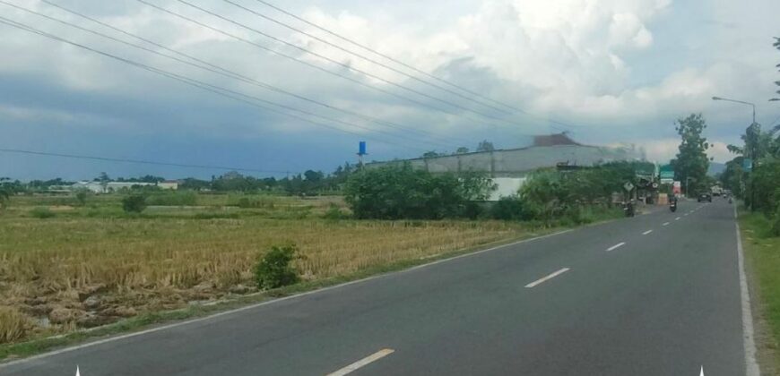 Tanah Dijual Jogja: Lahan Strategis Selatan Rumah Dinas Bupati di Trirenggo Bantul Yogyakarta