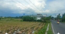 Tanah Dijual Jogja: Lahan Strategis Selatan Rumah Dinas Bupati di Trirenggo Bantul Yogyakarta