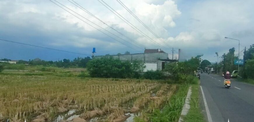 Tanah Dijual Jogja: Lahan Strategis Selatan Rumah Dinas Bupati di Trirenggo Bantul Yogyakarta