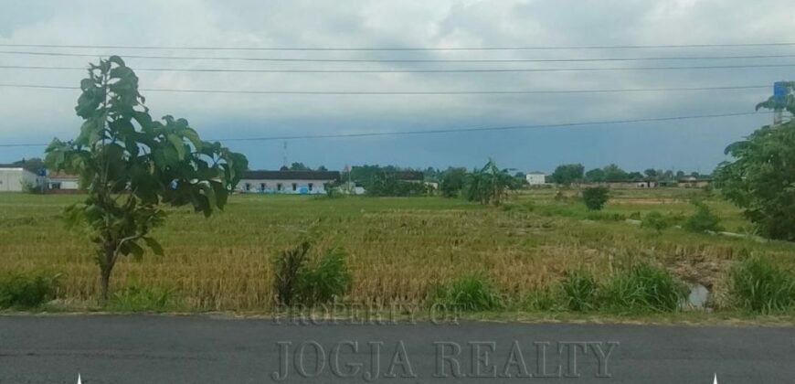 Tanah Dijual Jogja: Lahan Strategis Selatan Rumah Dinas Bupati di Trirenggo Bantul Yogyakarta