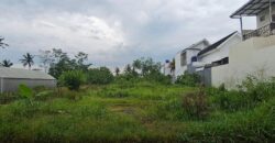 Tanah Dijual Jogja SHMP Antara Jl Kaliurang dan Jl Palagan Ngalangan Sardonoharjo Ngaglik Sleman Yogyakarta