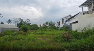 Tanah Dijual Jogja SHMP Antara Jl Kaliurang dan Jl Palagan Ngalangan Sardonoharjo Ngaglik Sleman Yogyakarta