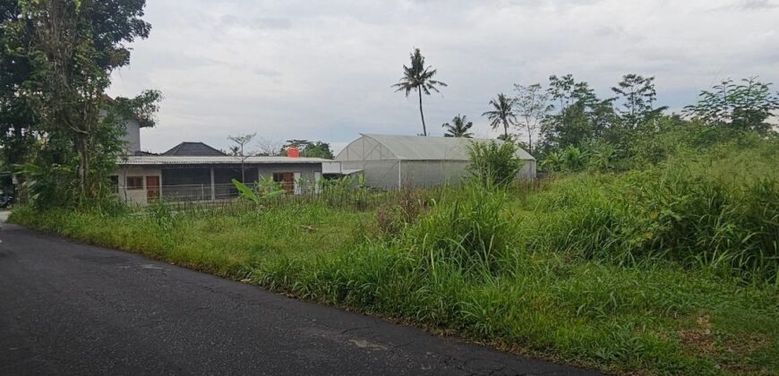 Tanah Dijual Jogja SHMP Antara Jl Kaliurang dan Jl Palagan Ngalangan Sardonoharjo Ngaglik Sleman Yogyakarta