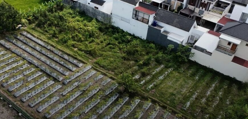 Tanah Dijual Jogja SHMP Antara Jl Kaliurang dan Jl Palagan Ngalangan Sardonoharjo Ngaglik Sleman Yogyakarta