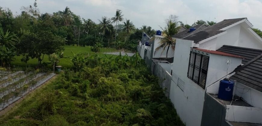 Tanah Dijual Jogja SHMP Antara Jl Kaliurang dan Jl Palagan Ngalangan Sardonoharjo Ngaglik Sleman Yogyakarta