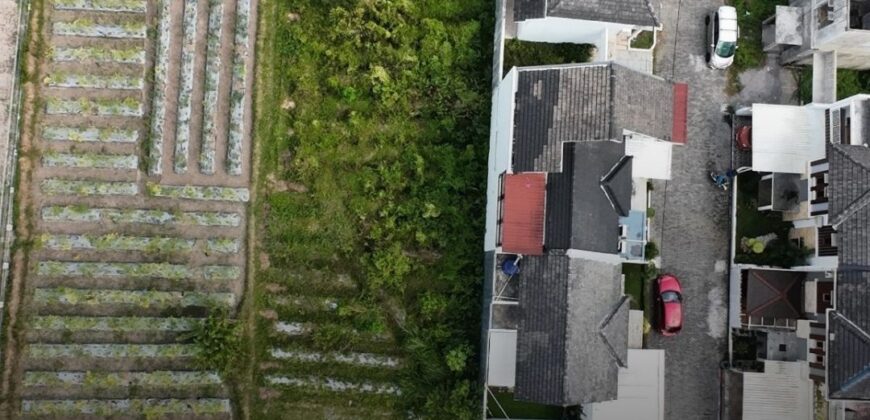 Tanah Dijual Jogja SHMP Antara Jl Kaliurang dan Jl Palagan Ngalangan Sardonoharjo Ngaglik Sleman Yogyakarta