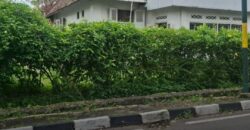 Rumah Jogja Gaya Asli Kolonial Belanda Di Area Premium Kotabaru Kota Yogyakarta