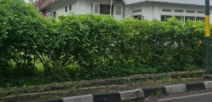 Rumah Jogja Gaya Asli Kolonial Belanda Di Area Premium Kotabaru Kota Yogyakarta