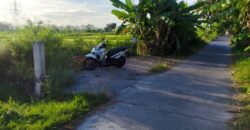 Tanah Dijual Jogja Sawah Mangku Jalan Aspal di Jalan Imogiri Timur km 12 Trimulyo Jetis Bantul Yogyakarta