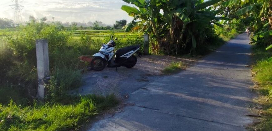 Tanah Dijual Jogja Sawah Mangku Jalan Aspal di Jalan Imogiri Timur km 12 Trimulyo Jetis Bantul Yogyakarta