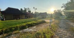 Villa Dijual Jogja Nuansa Etnik Jawa Limasan Kembar Nyaman Asri di Sentolo Kulonprogo Yogyakarta