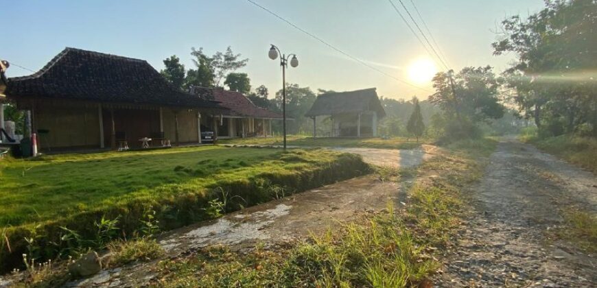 Villa Dijual Jogja Nuansa Etnik Jawa Limasan Kembar Nyaman Asri di Sentolo Kulonprogo Yogyakarta