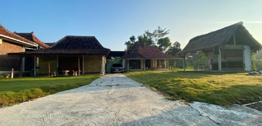 Villa Dijual Jogja Nuansa Etnik Jawa Limasan Kembar Nyaman Asri di Sentolo Kulonprogo Yogyakarta