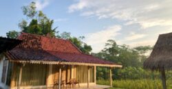 Villa Dijual Jogja Nuansa Etnik Jawa Limasan Kembar Nyaman Asri di Sentolo Kulonprogo Yogyakarta