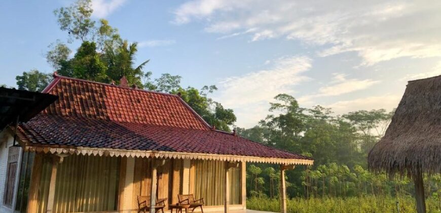 Villa Dijual Jogja Nuansa Etnik Jawa Limasan Kembar Nyaman Asri di Sentolo Kulonprogo Yogyakarta