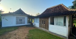 Villa Dijual Jogja Nuansa Etnik Jawa Limasan Kembar Nyaman Asri di Sentolo Kulonprogo Yogyakarta