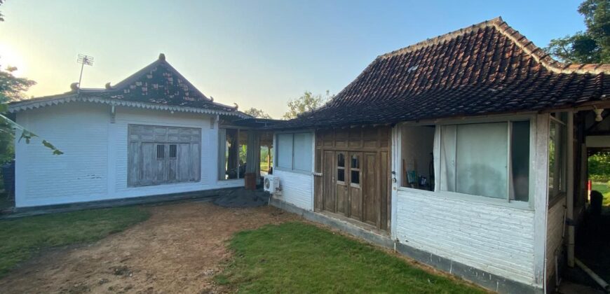 Villa Dijual Jogja Nuansa Etnik Jawa Limasan Kembar Nyaman Asri di Sentolo Kulonprogo Yogyakarta