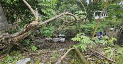 Tanah Dijual Jogja Strategis Pinggir Jalan Utama Jl Kaliurang km 8,5 Dayu Sinduharjo Ngaglik Sleman Yogyakarta