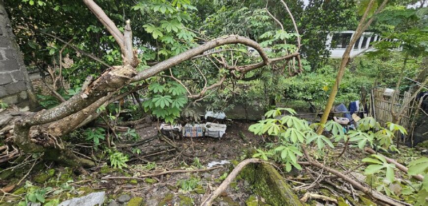 Tanah Dijual Jogja Strategis Pinggir Jalan Utama Jl Kaliurang km 8,5 Dayu Sinduharjo Ngaglik Sleman Yogyakarta