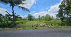 Tanah Dijual Jogja Bagus Murah Strategis Dekat Tengkleng Gajah Jl Kaliurang Km 9 Sinduharjo Ngaglik Sleman Yogyakarta