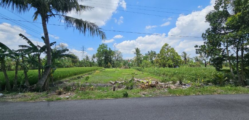 Tanah Dijual Jogja Bagus Murah Strategis Dekat Tengkleng Gajah Jl Kaliurang Km 9 Sinduharjo Ngaglik Sleman Yogyakarta