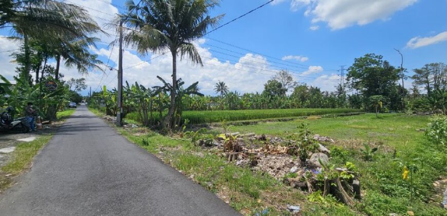 Tanah Dijual Jogja Bagus Murah Strategis Dekat Tengkleng Gajah Jl Kaliurang Km 9 Sinduharjo Ngaglik Sleman Yogyakarta