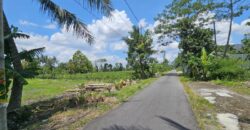 Tanah Dijual Jogja Bagus Murah Strategis Dekat Tengkleng Gajah Jl Kaliurang Km 9 Sinduharjo Ngaglik Sleman Yogyakarta