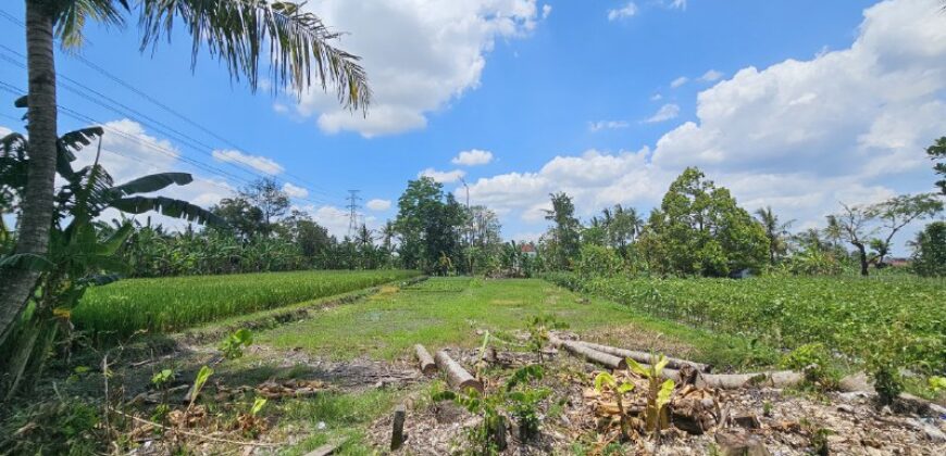 Tanah Dijual Jogja Bagus Murah Strategis Dekat Tengkleng Gajah Jl Kaliurang Km 9 Sinduharjo Ngaglik Sleman Yogyakarta