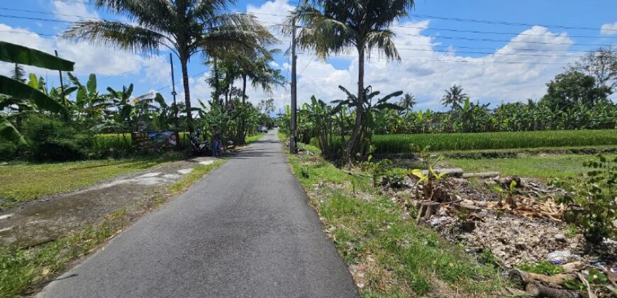 Tanah Dijual Jogja Bagus Murah Strategis Dekat Tengkleng Gajah Jl Kaliurang Km 9 Sinduharjo Ngaglik Sleman Yogyakarta