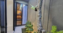 Rumah Mewah Dijual di Jogja Modern Kontemporer Furnished Cluster Dekat Tol Purwomartani Kalasan Sleman Yogyakarta