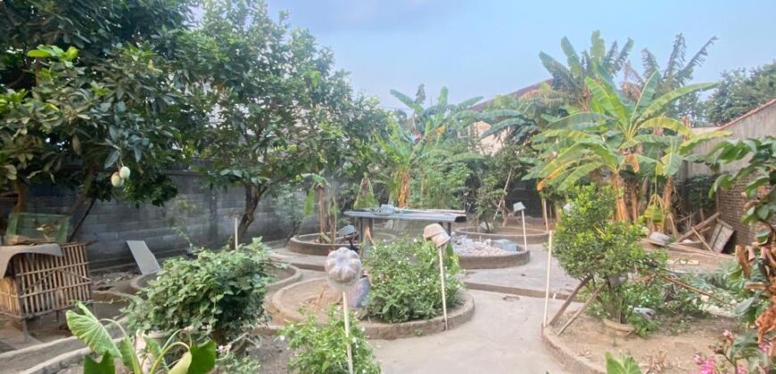 Tanah Dijual Jogja Bonus Bangunan Rumah dan Ruko Strategis Dekat Ringroad Utara Kampus UPN Sanata Dharma Amikom Pakuwon Mall di Pugeran Maguwoharjo Depok Sleman Yogyakarta