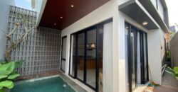 Rumah Mewah Dijual di Jogja Furnished Private Pool Posisi Hook di Palagan Sariharjo Sleman Yogyakarta