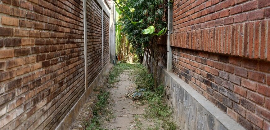 Rumah Jogja Disewakan Villa Cantik Estetik dengan Tanah Luas dan Pohon Buah Strategis Arah Pantai Parangtritis di Patalan Bantul Yogyakarta