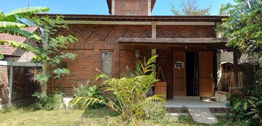 Rumah Jogja Disewakan Villa Cantik Estetik dengan Tanah Luas dan Pohon Buah Strategis Arah Pantai Parangtritis di Patalan Bantul Yogyakarta